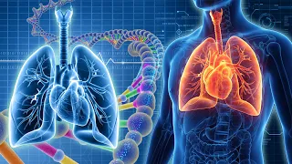 432Hz + 528Hz + 741Hz + 963Hz |The DEEPEST Healing Sleep: Whole Body Regeneration, Relieve Stress