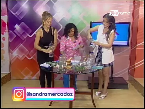 Aprenda a realizar repelentes caseros en época de lluvia