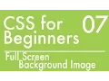 Basics Of CSS - Tutorial 7