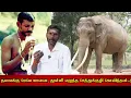 Download Lagu தலைக்கு மேலே யானை, துள்ளி எழுந்த சேத்துக்குழி கோவிந்தன்; ஜெயங்கொண்டம் செல்வம் நேர்காணல் 2