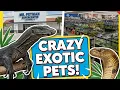 Visiting Mr Petman Pet Shop In Daytona FL