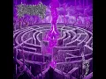 Download Lagu CIVEROUS - Maze Envy - ALBUM 2024