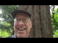 Me and Mind Aid gratitude concert talks TV show