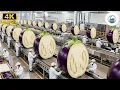 Lagu Inside the Largest US Eggplant Factory: From Fresh to Packaged (Full Process)