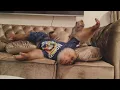 Download Lagu Beruk Bastian tidur ditemenin Jupe