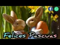 Gif Feliz Pascua Feliz Pascua Mensajes de buenos dias Gif Feliz Pascua 2021 Para Whatssap