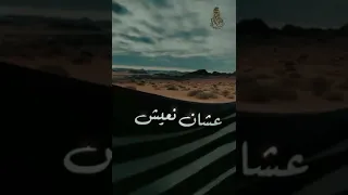 شيله من ظروف إلى ظروف دندنها
