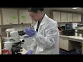 USNS Mercy Laboratory Virtual Tour