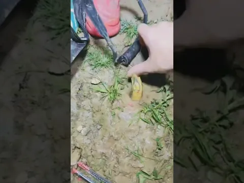 mém xíu là đi lun ngón tay🥶#fishing #shorts