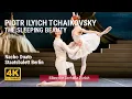 Piotr Ilyich Tchaikowsky The Sleeping Beauty