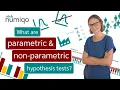 What is the difference between parametric and nonparametric hypothesis testing