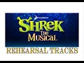 Shrek - 8