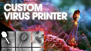 Scientists Custom Print 16 Never-Before-Seen Real-World Viruses