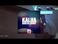 Download Lagu Martin Denny - Kalua (Full Album)