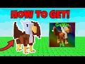 HOW TO GET GRIFFIN PET SHOWCASE in GROW A GARDEN! | Roblox