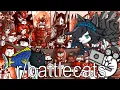 The Battle Cats Reddit is Interesting