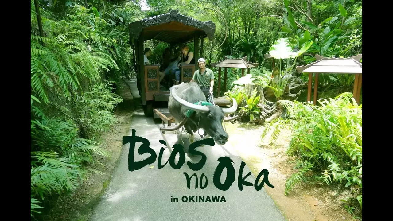 Bios no Oka Admission Ticket in Okinawa – Direct Entry