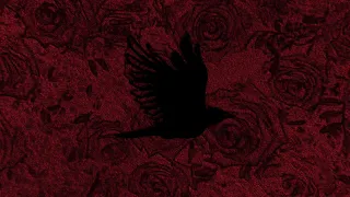 Lil Baba Mesh Tay2ek ليل بابا مش طايق ك 