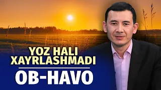 Salqindan issiqqa: hafta oxirida havo yana isiydi