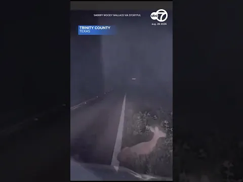 Presumably dead deer gets up, spooking deputy