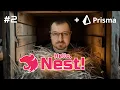 NestJS 2 Prisma ORM PostgreSQL