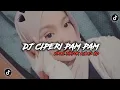 Download Lagu DJ CIPERI PAM PAM VIRAL TIK TOK BY DJ SOPAN AUDIO 8D