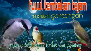 materi fuul tembakan tajam jinjing petulak kapas tembak dan pijantung 