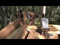 Using Wood Forms and Mechanical Mixing to Speed Cob Construction - Kortus Studio