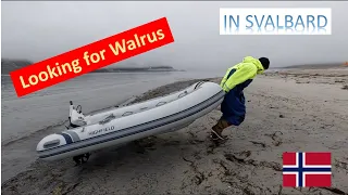 Massive walruses in legendary ‘Blubber Town’ | Bushpoint Sailing Svalbard | Ep 48