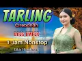 Download Lagu BASS EMPUK BANGET DAN SUARA NYA MERDU - LAGU TARLING FULL ALBUM BIKIN TENANG