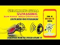 Download Lagu Gelombang Suara Ultrasonic Pengusir Nyamuk Penyebab  Berdarah, Dijamin nyamuk pergi jauh