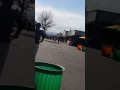 La pulga