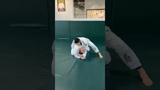 Clock Choke Back Up Turtle Submissions Gracie Jiu-Jitsu