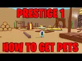 How to Reach PRESTIGE 1 in Strongest Punch Simulator How to Get PETS in Strongest Punch Simulator