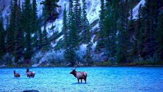 Acoustic Indie Folk Playlist Chill Music Idaho Mountain Wilderness Open Road Folk Music 