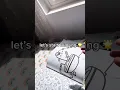 color with me