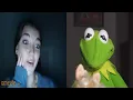 Kermit s back using pick-up lines on Omegle