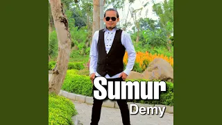 Download Sumur MP3