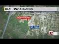Body found behind NC Piggly Wiggly homicide unit investigates