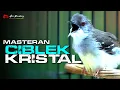 Download Lagu MASTERAN CIBLEK KRISTAL FULL NEMBAK NGEBREN