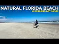 We Found the Most Natural Beach Near St Augustine Florida
