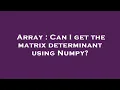 Array Can I get the matrix determinant using Numpy