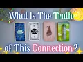 Delulu Check The TRUTH of This Connection Detailed Pick a Card Tarot Reading