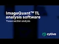 ImageQuant TL analysis software - Tissue section analysis