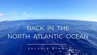 Back in the North Atlantic Ocean [Ep 92] Sailing Salacia Star