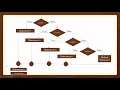 Programming in C Beginner Level Decision Making Statements Else if