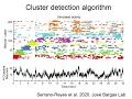 Cluster Detection Algorithm in Raster Plot