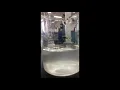 Iodine Clock Reaction in Slow Motion
