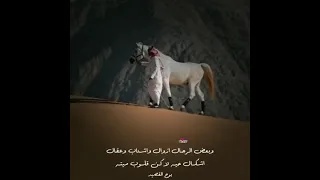 بعض الرجال جبال اقوال وافعال يجيك مثل السيل لو نخيته وبعض الرجال ازوال وعقال وشناب 