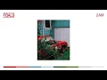 FOALS - 2am [Official Audio]